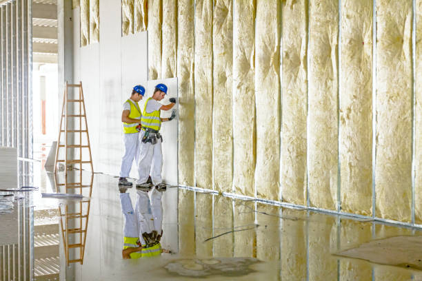 Best Wall Insulation Contractor  in West Salem, WI